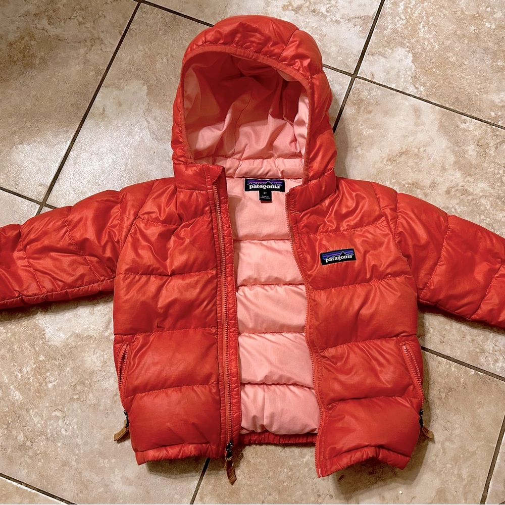 Toddler Patagonia Puffy Coat